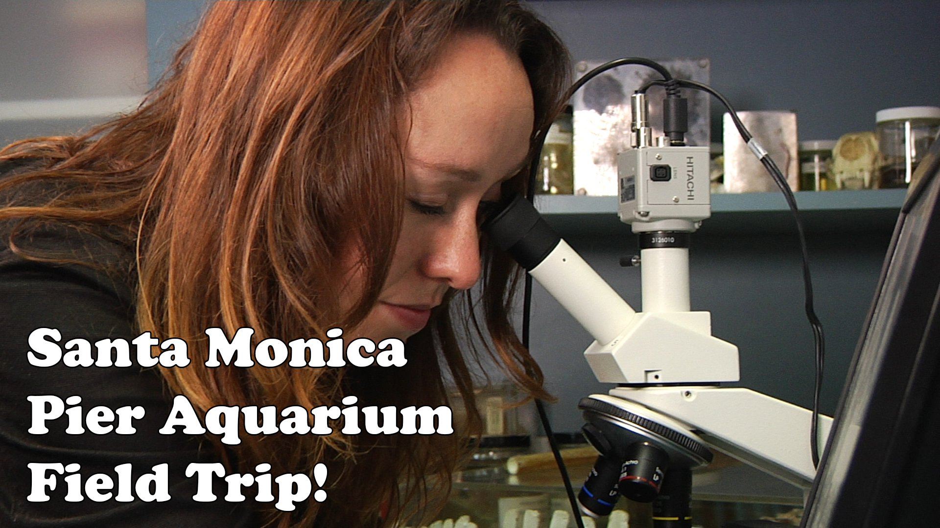 Santa Monica Pier Aquarium Field Trip!